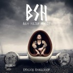 Bass Sultan Hengzt - Endlich erwachsen Album Cover