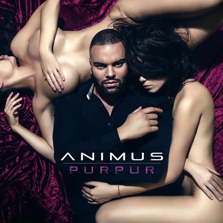 Animus-Purpur-Album-Cover.jpg