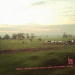 form-der-urknall-war-ein-inside-job-album-cover