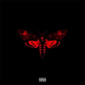 Lil Wayne - I am not a human being 2 Album Cover