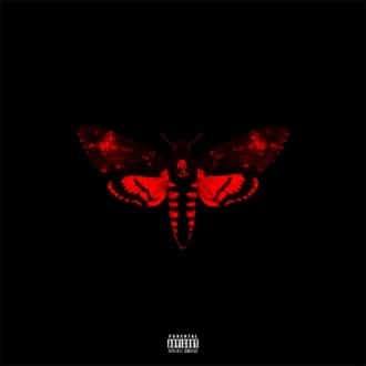 Lil Wayne - I am not a human being 2 Album Cover