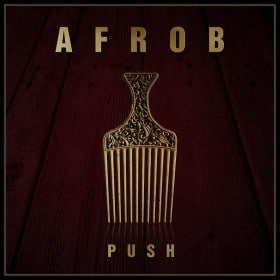 Afrob - Push Album Cover