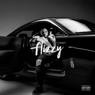 Fler - Flizzy Album Cover