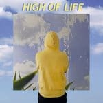 Waldoe - High of life Album cover